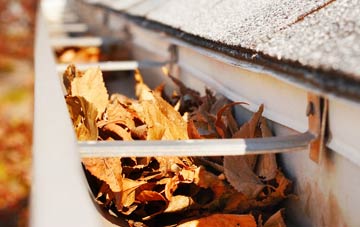 Trimpley gutter cleaning companies