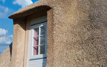 Trimpley thatch roof disadvantages